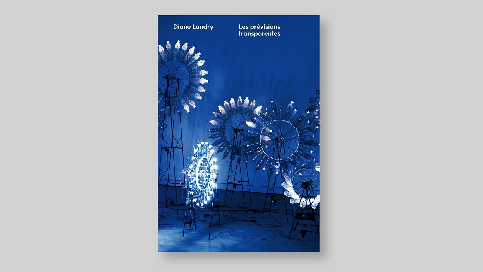 Image de la publication Diane Landry. Les prévisions transparentes publiée par VOX